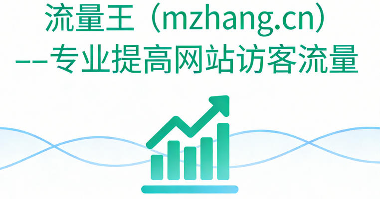 海外独立站6个SEO技巧实现UV月增长200%